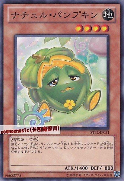 自然南瓜