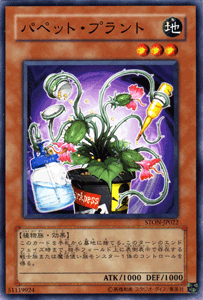 傀儡植物