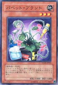 傀儡植物