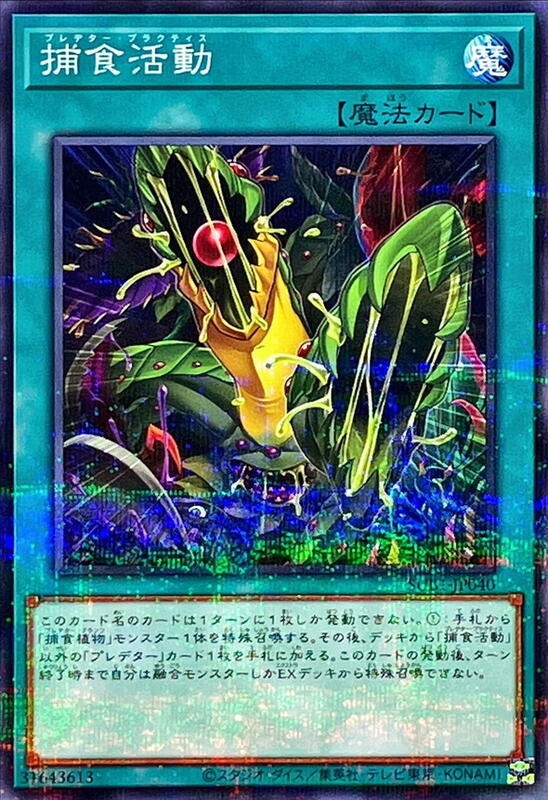 捕食活動