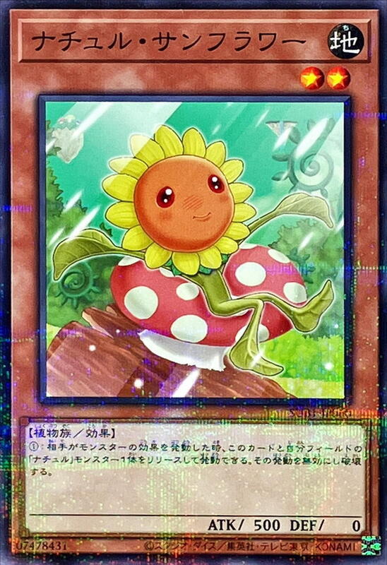 自然向日葵