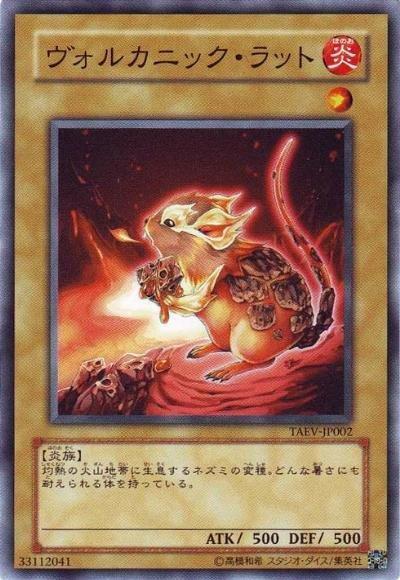 火山鼠