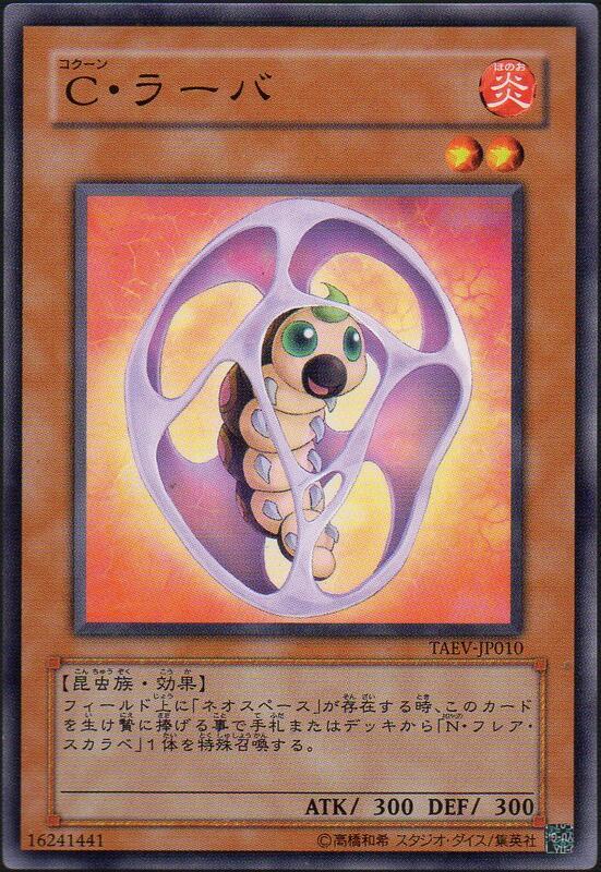 C繭小甲蟲