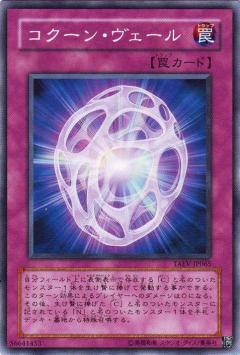 幼繭分隔