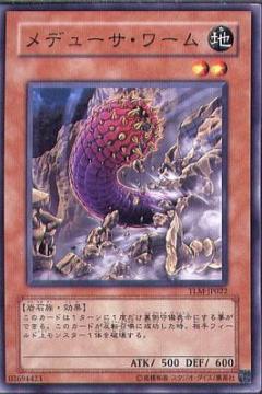 蛇髮女妖蠕蟲