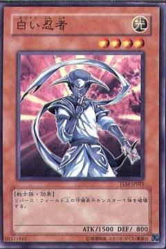 白色忍者