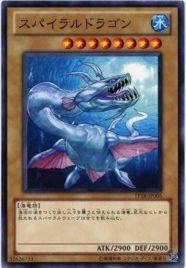 漩渦海龍