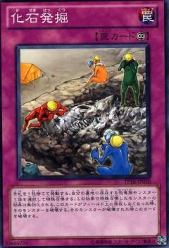 化石發掘