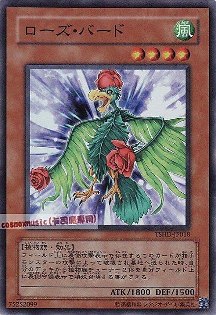 玫瑰鳥