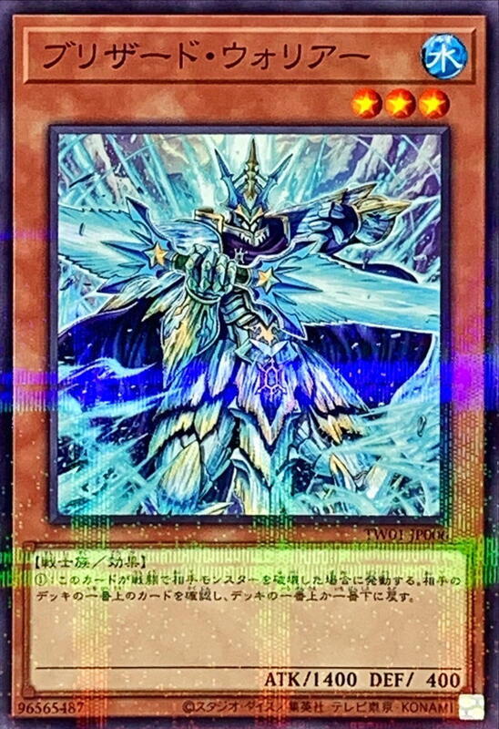 暴風雪戰士
