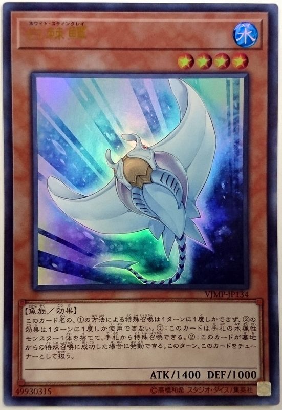 白棘鱏