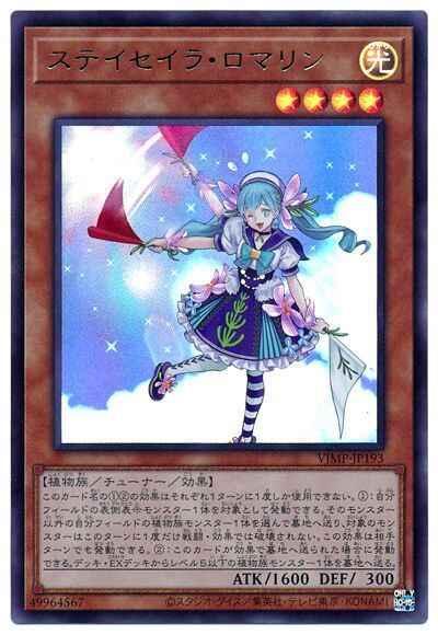 支索帆迷迭香