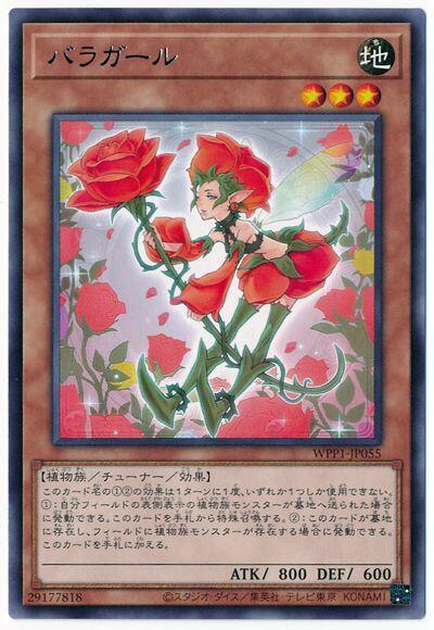 薔薇女孩