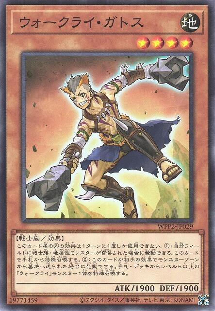 戰吼牡貓鬥士