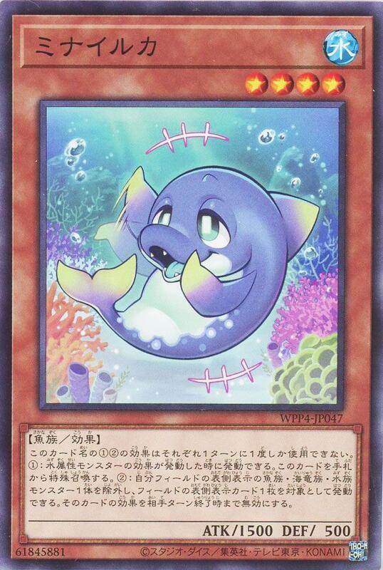 在嘛海豚