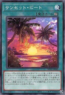 日落拍岸