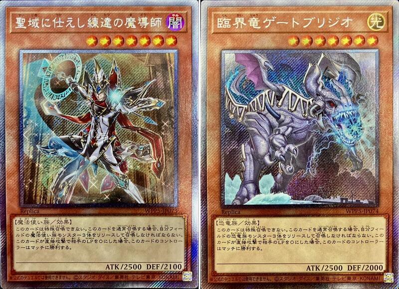 侍奉聖域的練達魔導師