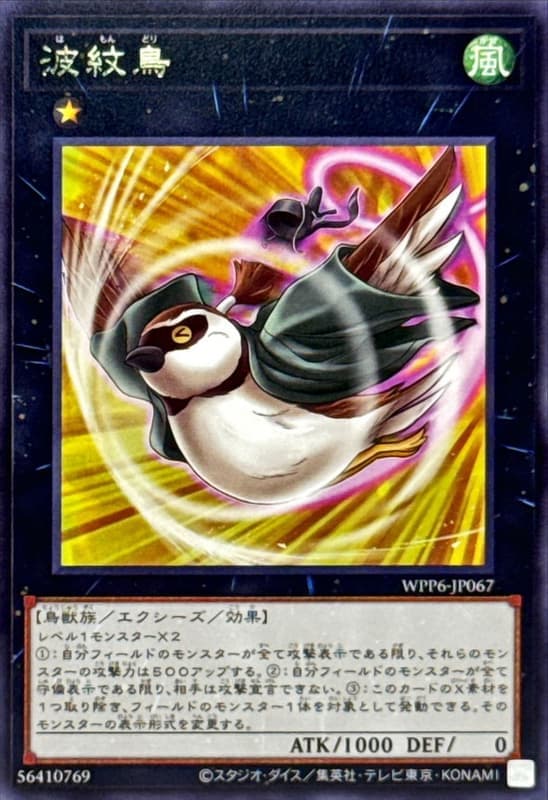 波紋鳥