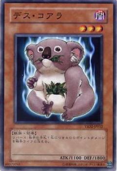 死亡無尾熊