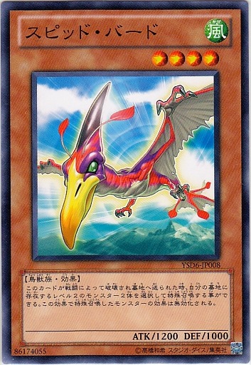 尖嘴鳥